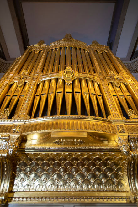 Organ